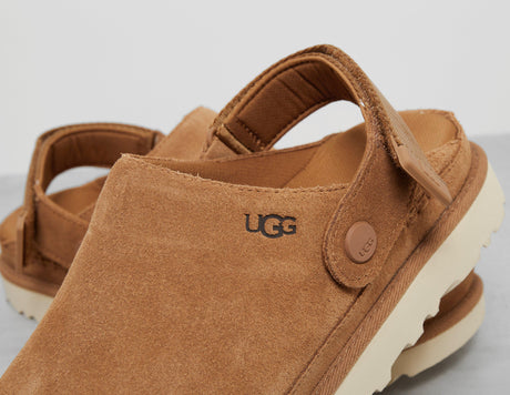 GOLDENSTAR CLOG C'NUT